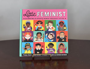 Little Feminist Picture Book